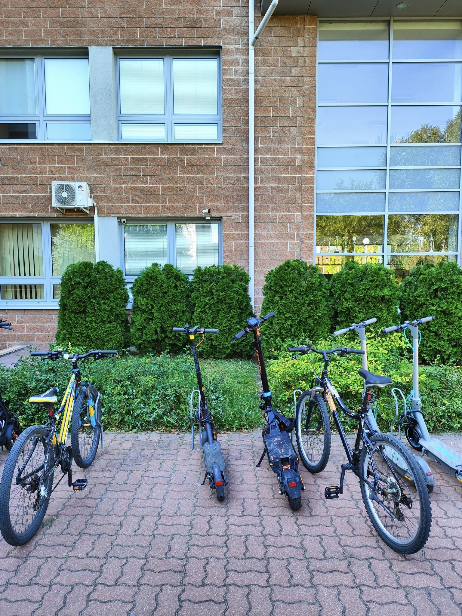 540726122 1355995406526876 2577950057227426606 n