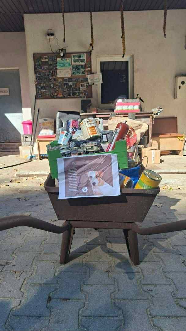 553051832 1372072831585800 5455471414330458812 n