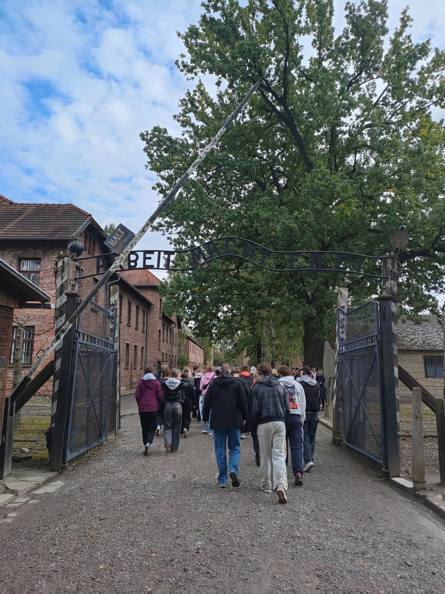 557436241 1379530870839996 3302062513446249031 n