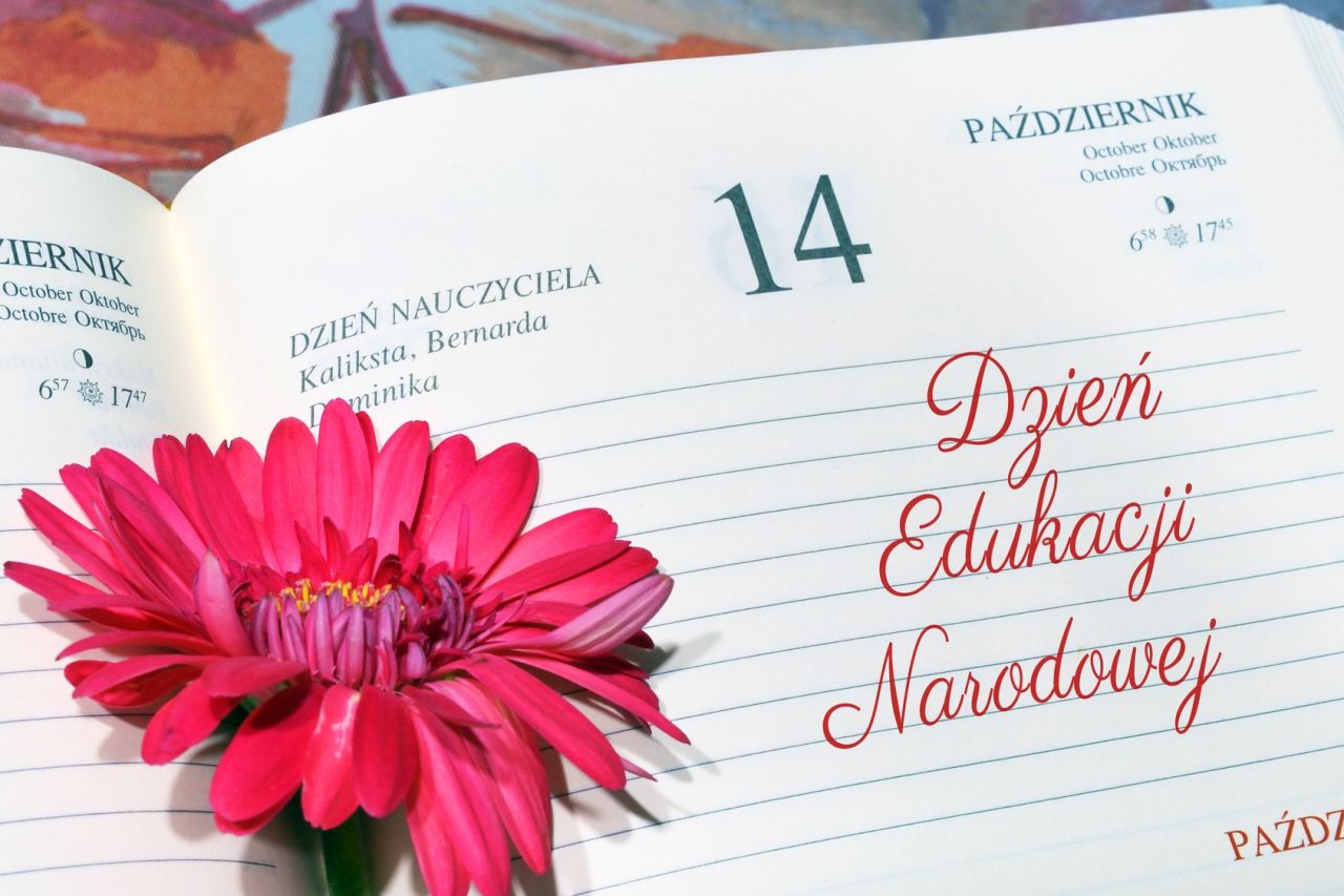 559453642 1393484086111341 8461969843478319514 n