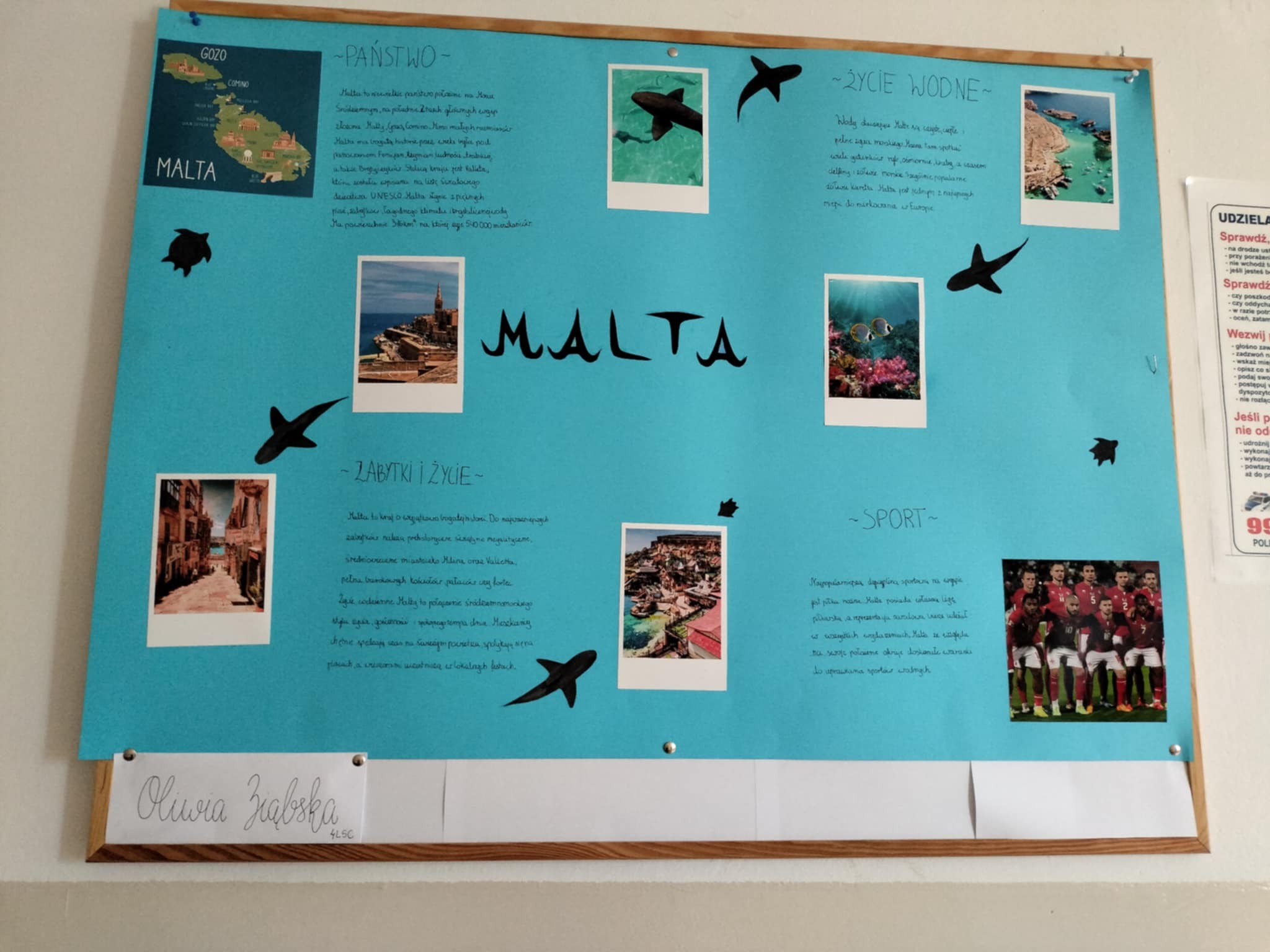 570189508 1401921768600906 2792285782963811664 n