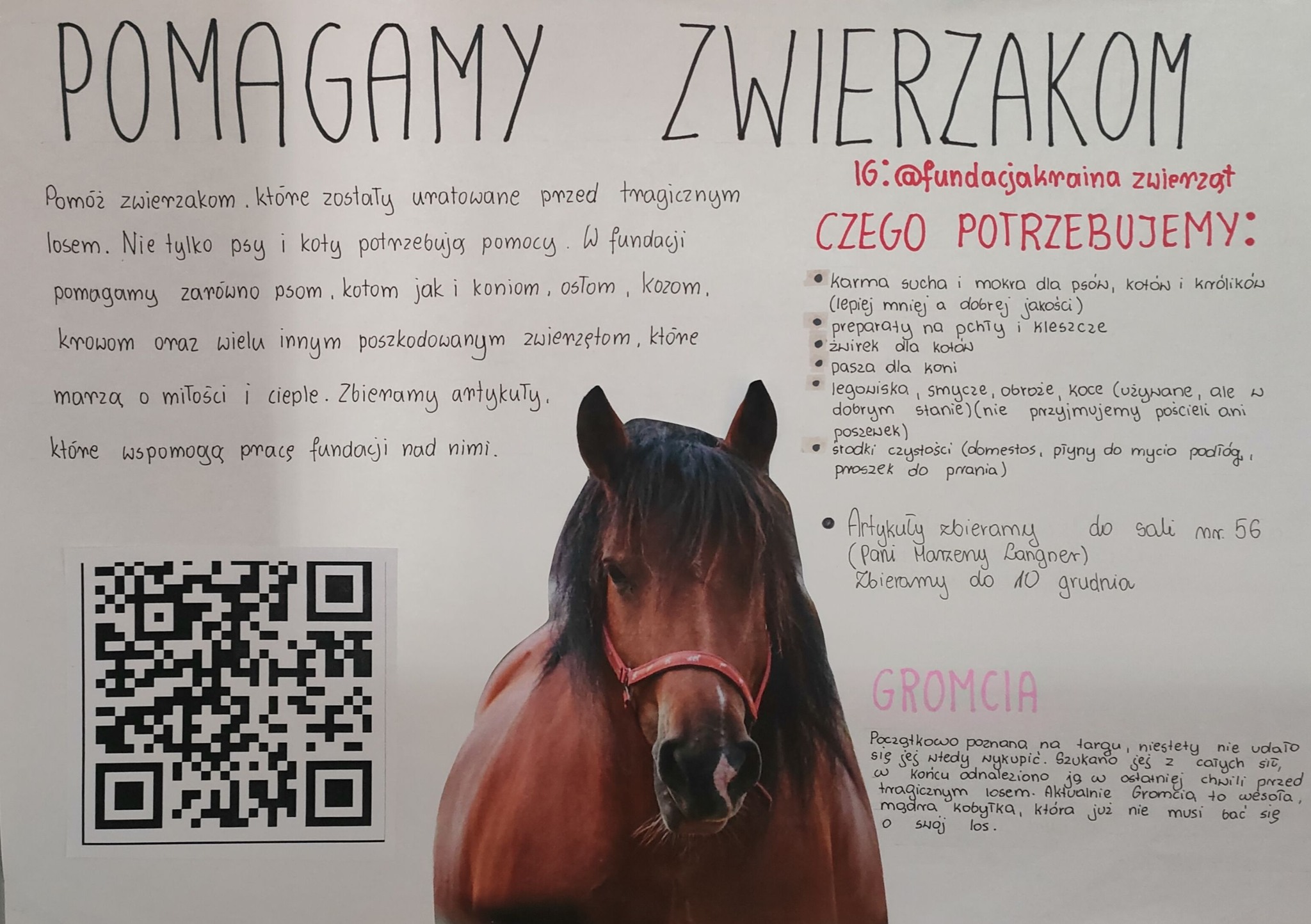 585345151 1425074726285610 4141613959307855009 n