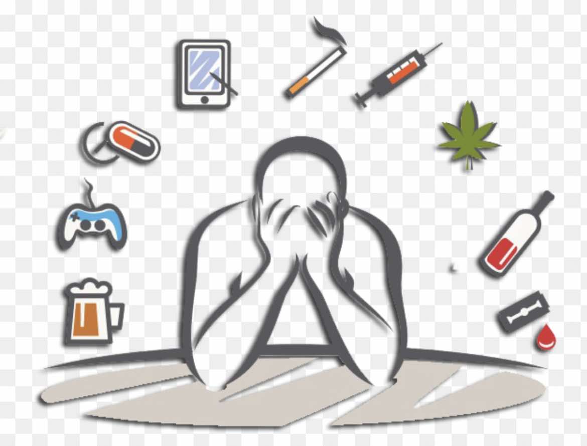 589274446 1431651275627955 7548837844840786222 n