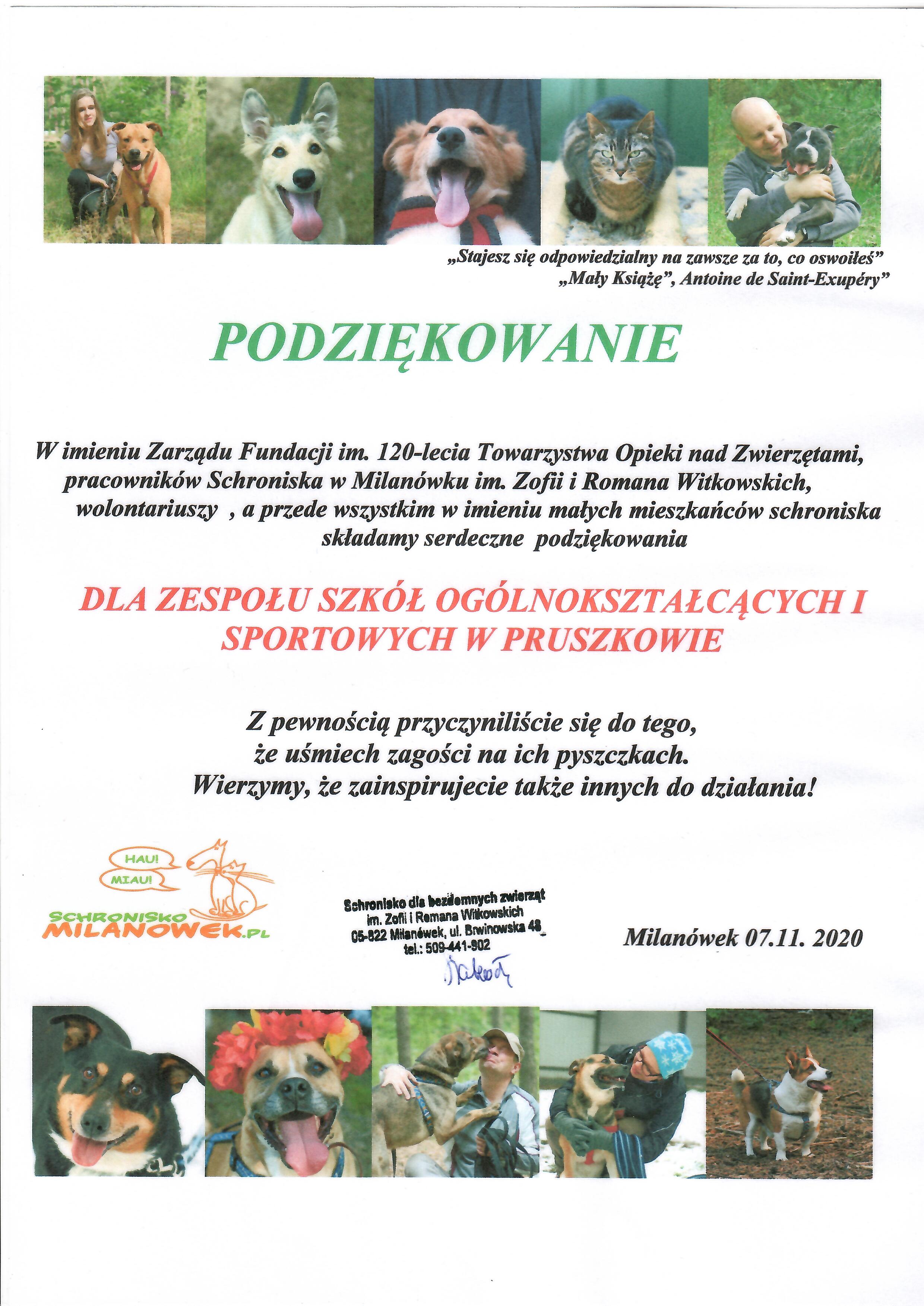 schronisko